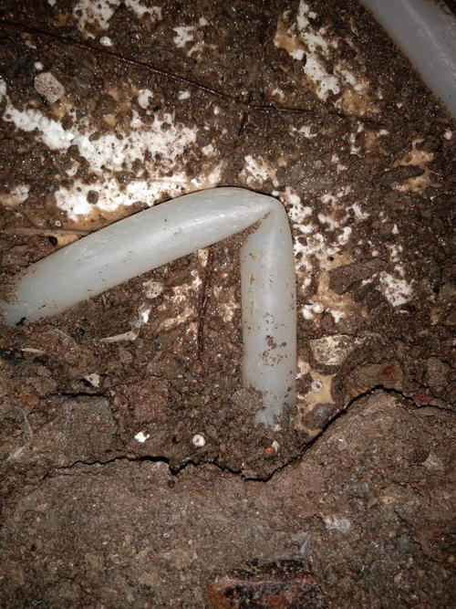 会泽堵点精准查找